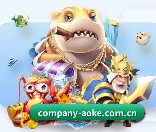 company-aoke.com.cn的故事